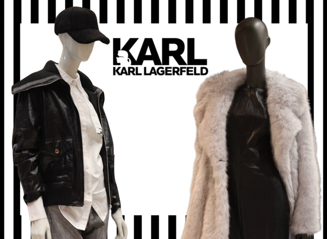 karl-campaign